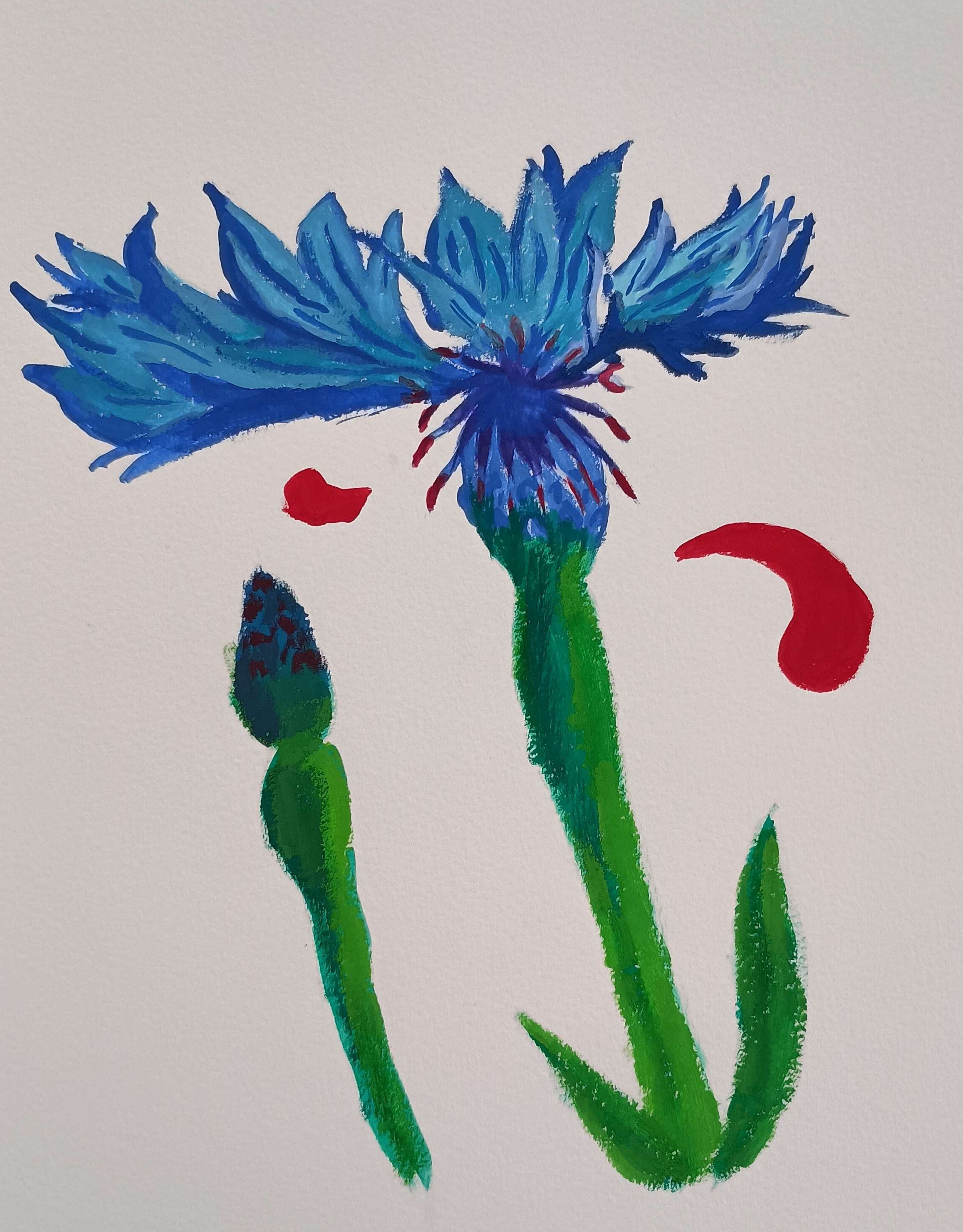 cornflower-Acrylic